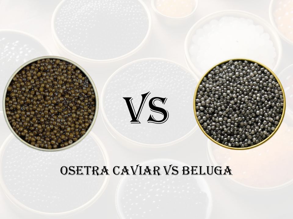 osetra caviar vs beluga