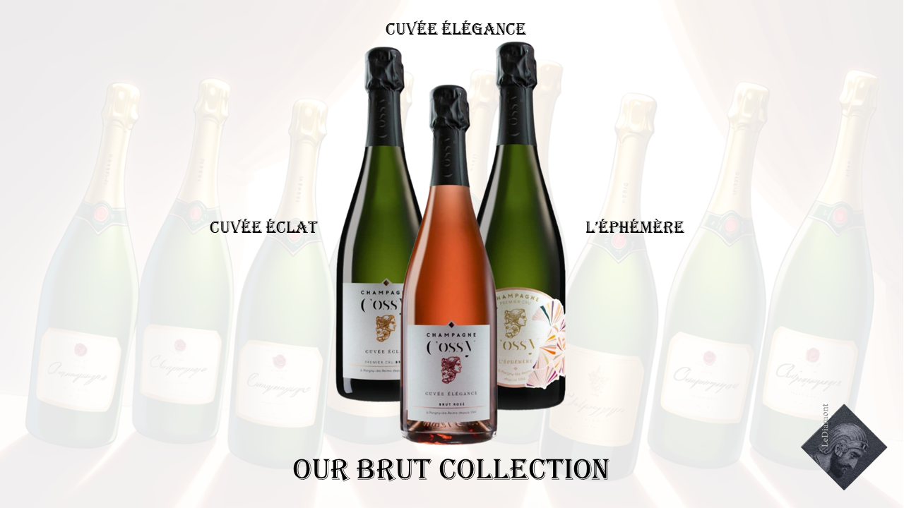 Demi-sec VS Brut Champagne; our brut collection