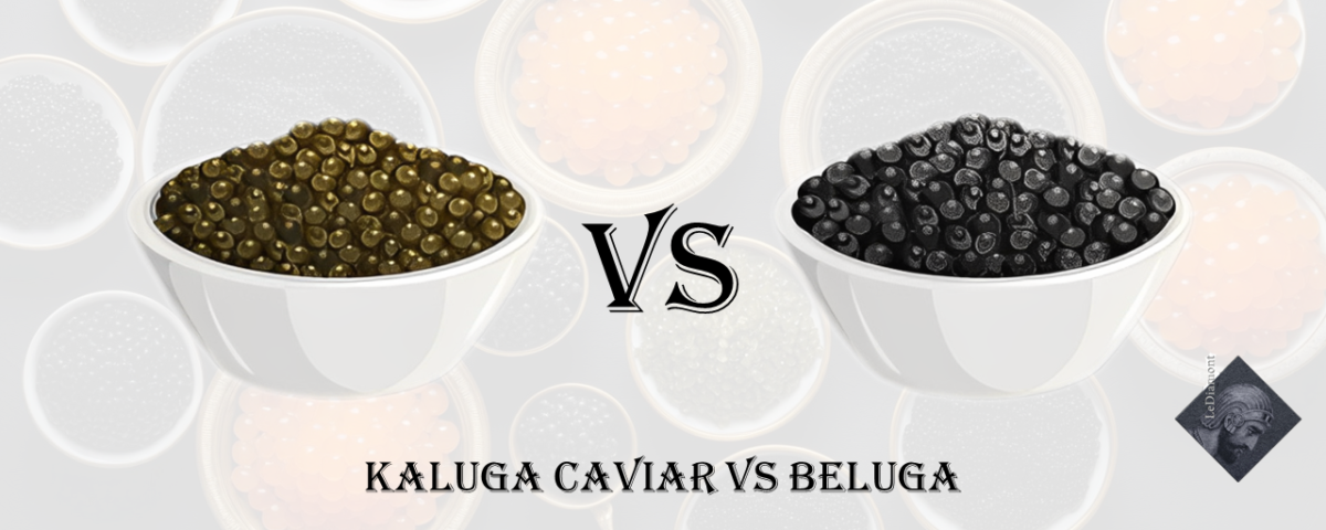 Kaluga caviar VS Beluga