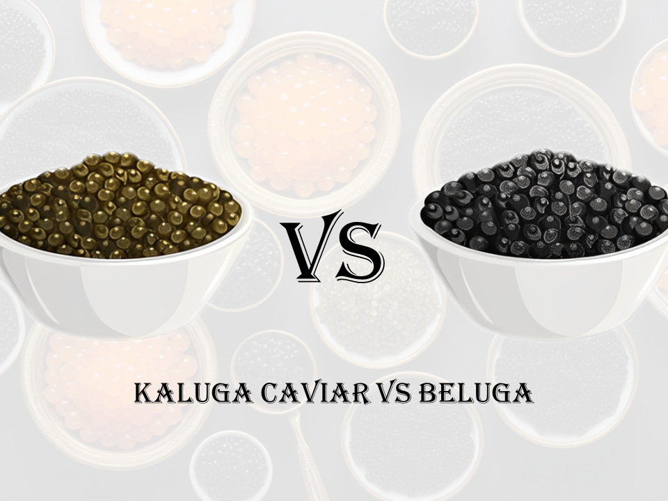 Kaluga caviar VS Beluga